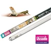 Arcadia Desert 10% UV vamzdis 75cm 25W