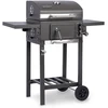 Berdsen BD-892 anglinis grilis