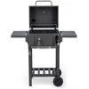 Berdsen BD-892 anglinis grilis