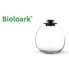 Bioloark Bio Bottle QD172 Wabi-Kusa
