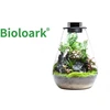 Bioloark Bio Bottle SD175 Wabi-Kusa
