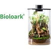 Bioloark Bio Bottle ZD150 Wabi-Kusa