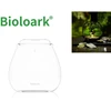 Bioloark Bubble Cup FOUR | Wabi-Kusa Stiklinė
