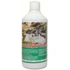 Femanga Fadenalgen Stopp Speed F 1000 ml - dumblių naikinimas