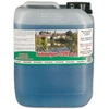 Femanga Fadenalgen Stopp Speed F 5000ml - dumblių naikinimas