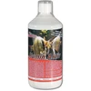 Femanga Humin Aktiv 1000 ml
