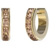 Juvelyriniai Guess auskarai JUBE03134JWYGPE
