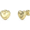 Papuošalai „Guess“ auskarai JUBE05543JWYGT/U