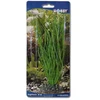 HOBBY Aquaristik 20 cm plastikinis Sagittaria augalas