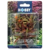 HOBBY Aquaristik 7 cm plastikinis Nesaea augalas