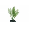 Hobby Aquaristik Aponogeton 16 cm plastikinis