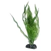HOBBY Aquaristik Aponogeton 25 cm plastikinis