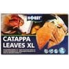 Hobby Aquaristik CATAPPA LAPAI XL 12 vnt.