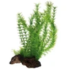 HOBBY Aquaristik Flora šaknis 3 Gr L