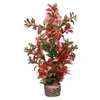 Hobby Aquaristik Flora Stone 7 - 4x25 cm HOBBY