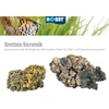 Hobby Aquaristik Grottenkeramik HOBBY kg