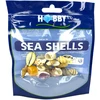 HOBBY Aquaristik HOBBY 20 vnt. S dydžio jūros kriauklių rinkinys