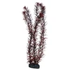 HOBBY Aquaristik HOBBY Eusteralis 39cm plastikinė augalija