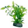 Hobby Aquaristik Hobby Hygrophila 13 cm plastikinė