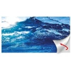 Hobby Aquaristik HOBBY Ocean* /Ruby Lake 100 x 50cm