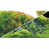 Hobby Aquaristik HOBBY Planted River /Žalias Rocks 60 x 30cm