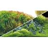 HOBBY Aquaristik HOBBY Planuotas Upelis / Žalias Akmuo 100 x 50 cm
