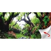 Hobby Aquaristik HOBBY Žalias Dream* /Wooden Sky 100 x 50cm