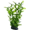 HOBBY Aquaristik Hygrophila 20 cm Hobby