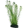 Hobby Aquaristik Lagarosifonas 20 cm plastikinis