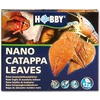 Hobby Aquaristik NANO CATAPPA LAPAI 12 vnt.