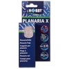 Hobby Aquaristik Planarijos X HOBBY