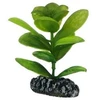 HOBBY Aquaristik Saururus 7 cm plastikas HOBBY