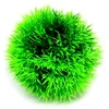HOBBY Dirbtinė akvariumo augalo dekoracija, 9 cm