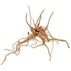 Hobby Terraristik HOBBY Fingerwood S 20-30cm