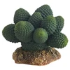 HOBBY Terraristik HOBBY Kaktusas Atacama 7 x 6 x 5 cm