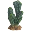 HOBBY Terraristik HOBBY Kaktusas Victoria 19 cm