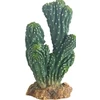 HOBBY Terraristik HOBBY Kaktusas Victoria 22 cm