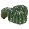 Hobby Terraristik HOBBY Kaktuso namas 1 22,5 x 22 x 10 cm