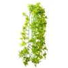 Hobby Terraristik HOBBY Karpinės gebenės 70cm, plastikas