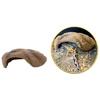 Hobby Terraristik HOBBY Mojave urvas M 22 x 16 x 7 cm