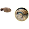 Hobby Terraristik HOBBY Mojave urvas S 16 x 10 x 6 cm