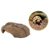 Hobby Terraristik HOBBY Mojave urvas XL 30,5 x 26,5 x 11,3 cm