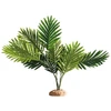 Hobby Terraristik HOBBY Palmė 60 x 40 x 55 cm