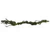 Hobby Terraristik Liana M 80 x 6 cm HOBBY
