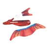 Putplasčio lėktuvas Dinozauras Lean Toys, raudonas