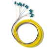 Qoltec 12 x LC/UPC optinio pluošto kabeliai 2m G657A2