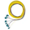 Qoltec 12 x LC/UPC optinio pluošto kabeliai 2m G657A2