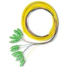 Qoltec 12 x Pigtail optinio pluošto kabelis SC/APC 2m