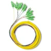 Qoltec 12 x Pigtail optinio pluošto kabelis SC/APC 2m