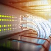 Qoltec Ethernet kabelių pjovimo ir užspaudimo įrankis 8P 6P